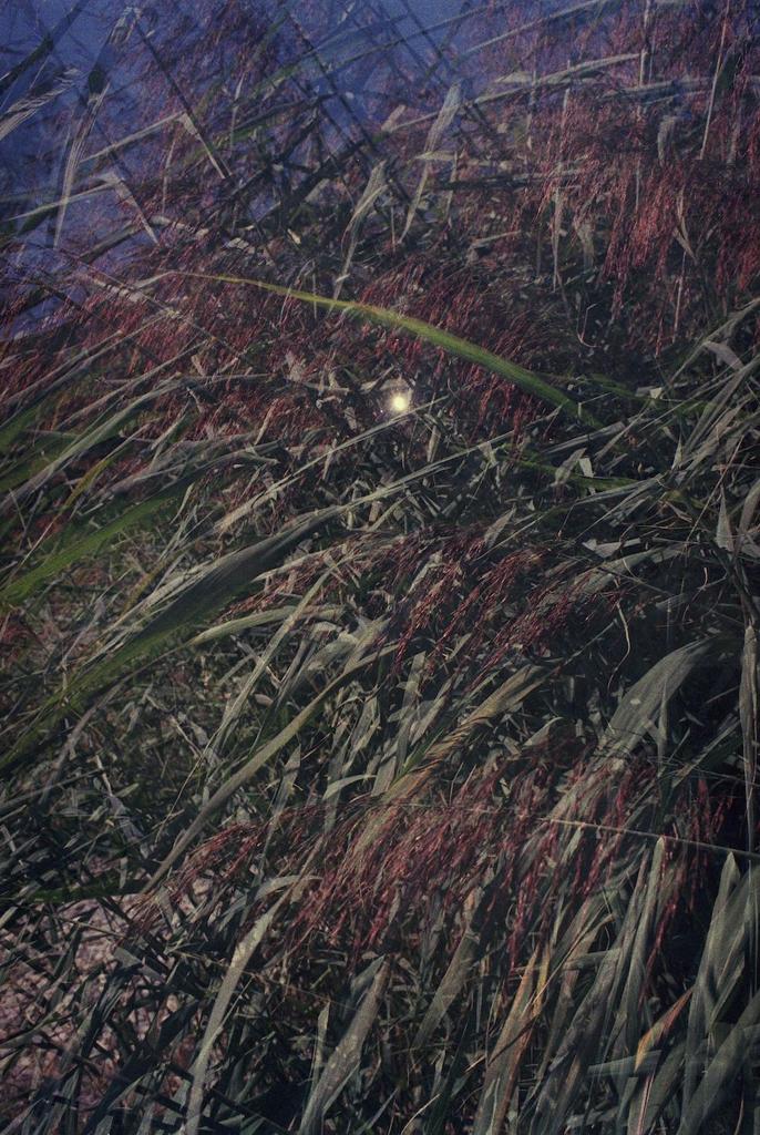 Schmugglerbucht Various III · Film-Photograph on Baryte Paper / 60x40cm / Edition 05+03AP / 2022