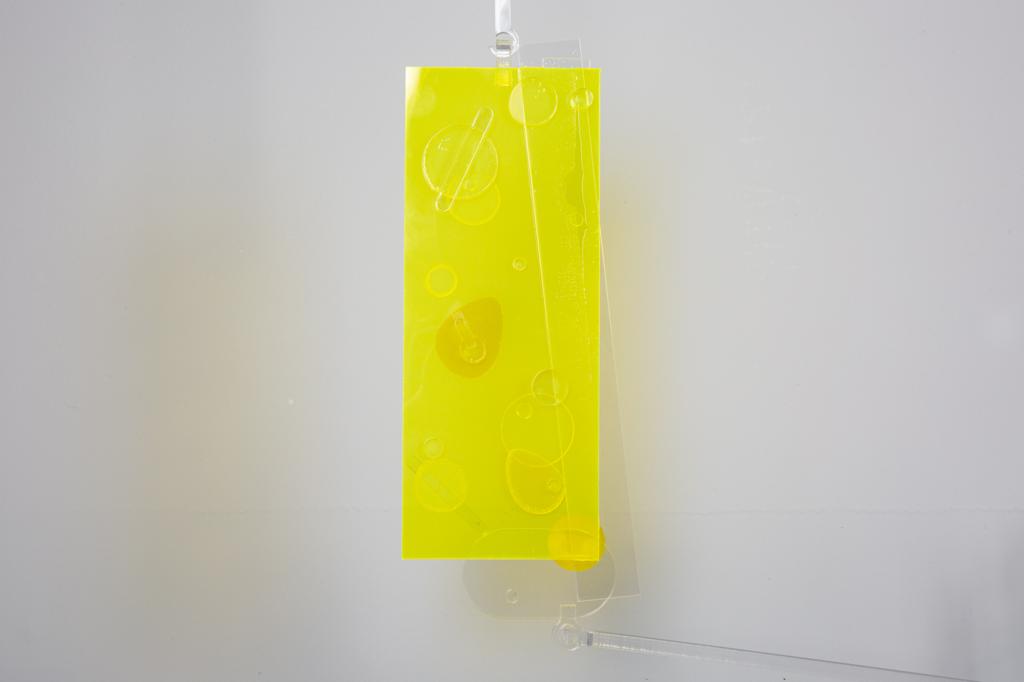 Echo From · 2023.10.16-11.27 | New York | Acrylic Plastic