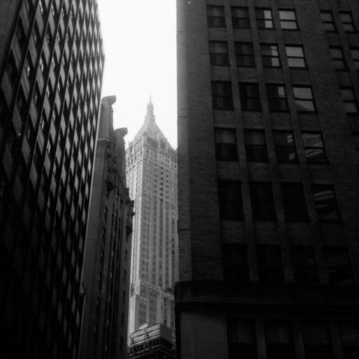 A Quick Walk 49 · 