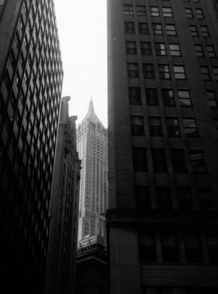A Quick Walk 49 · 