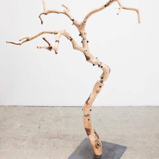 Franken Tree · 2024 · reclaimed live oak and steel · 105