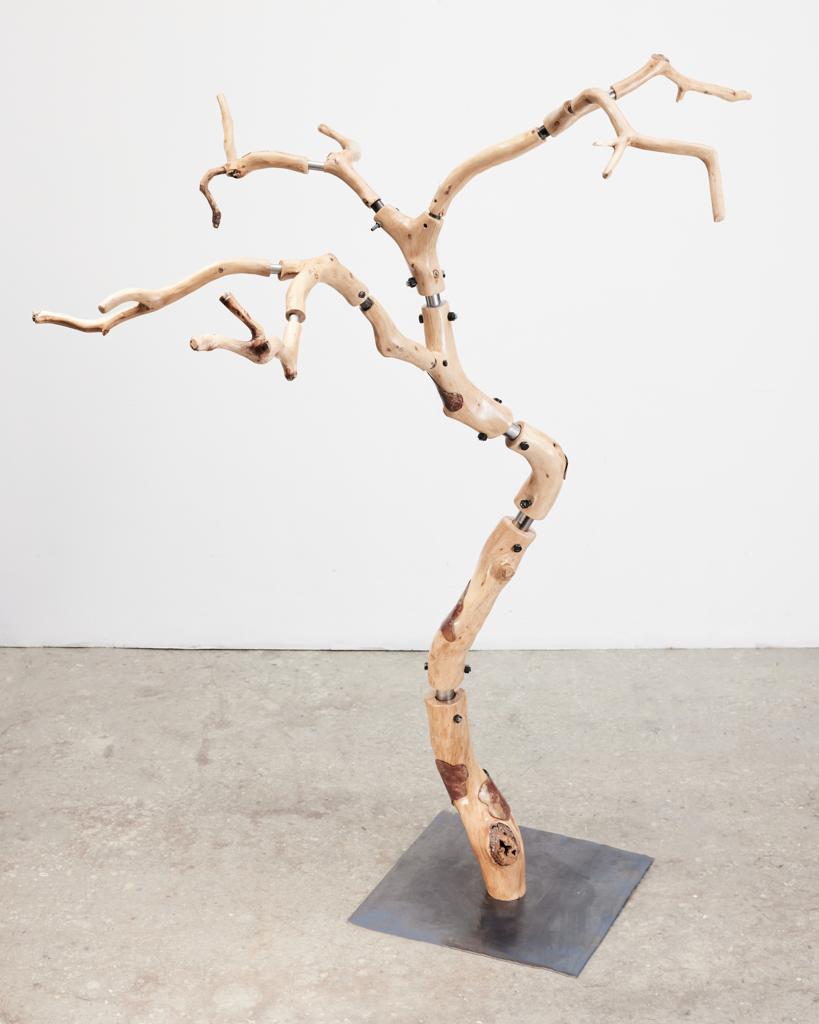 Franken Tree · 2024 · reclaimed live oak and steel · 105