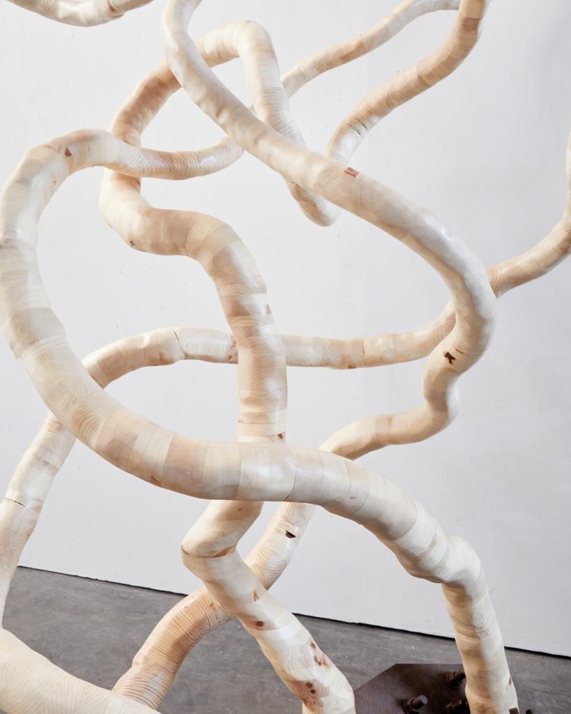 Seed of Sirsasana · 2023 · wood and steel · 96