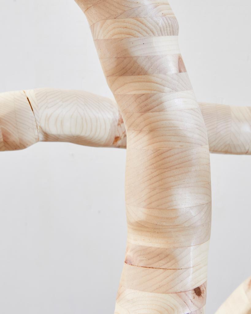 Seed of Sirsasana · 2023 · wood and steel · 96