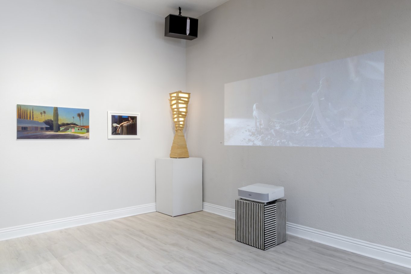 Seeking Light Installation View
