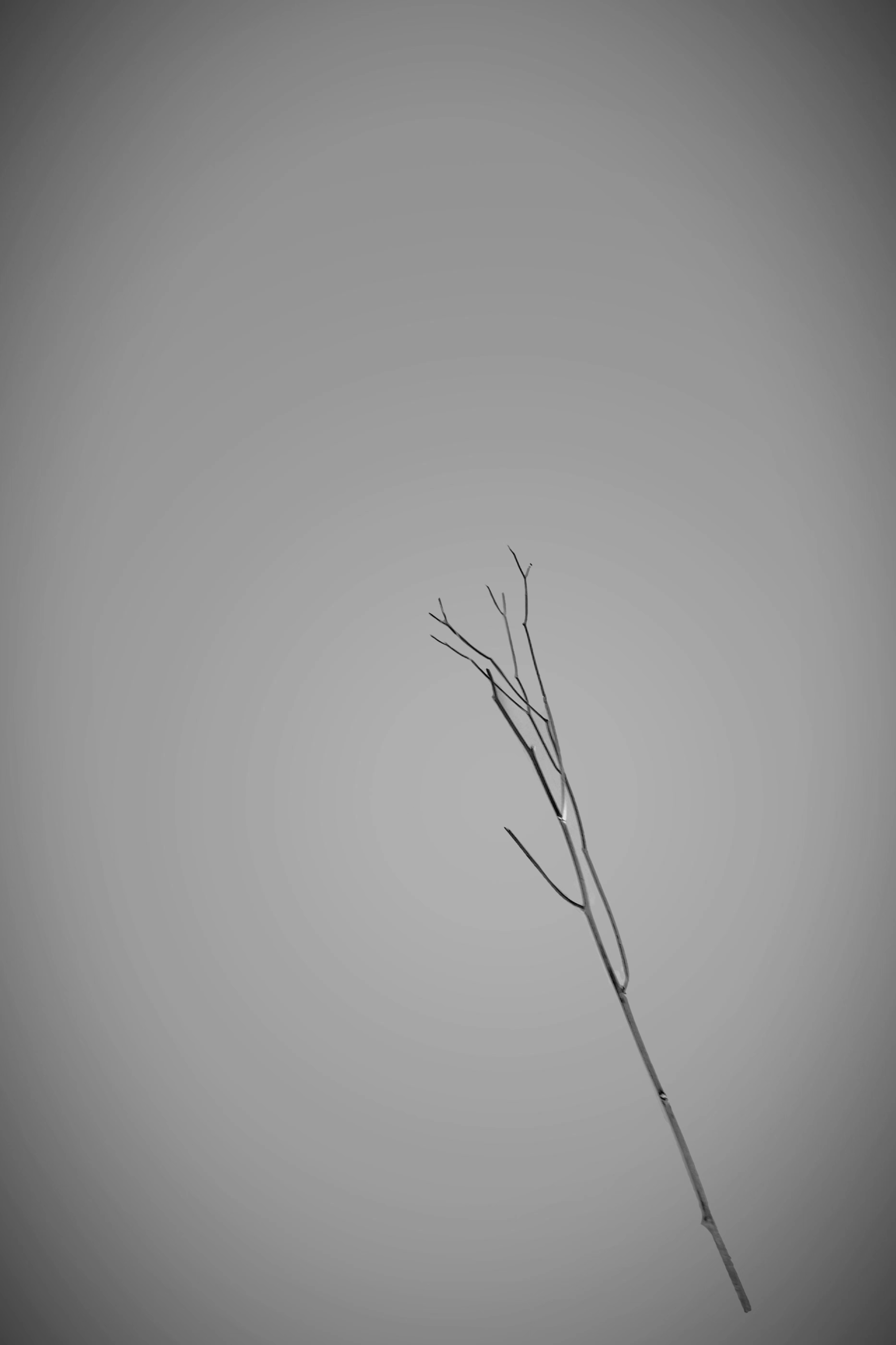 Passed Away - 2022 - Qiyuan Zhu