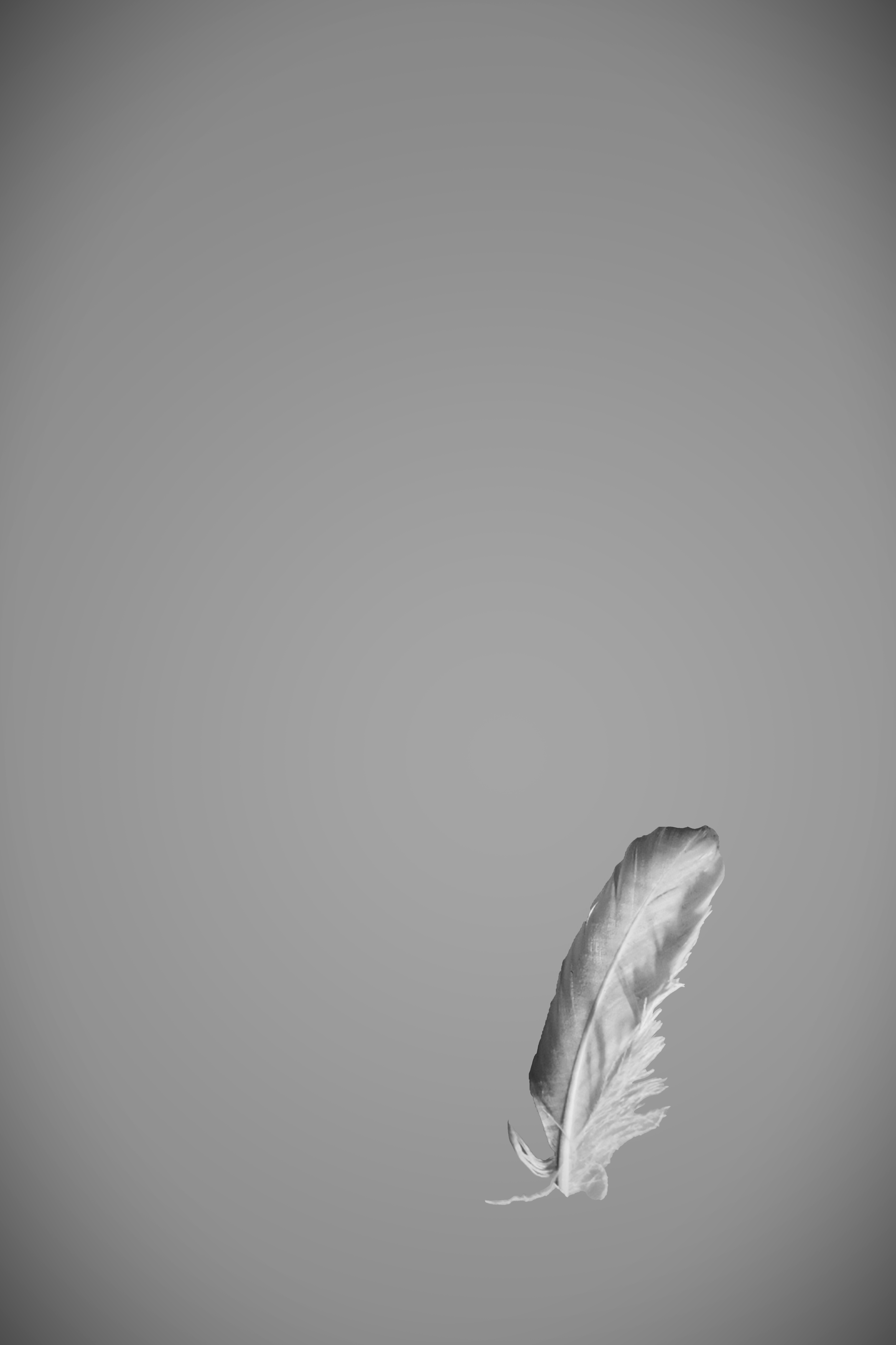 Passed Away - 2022 - Qiyuan Zhu