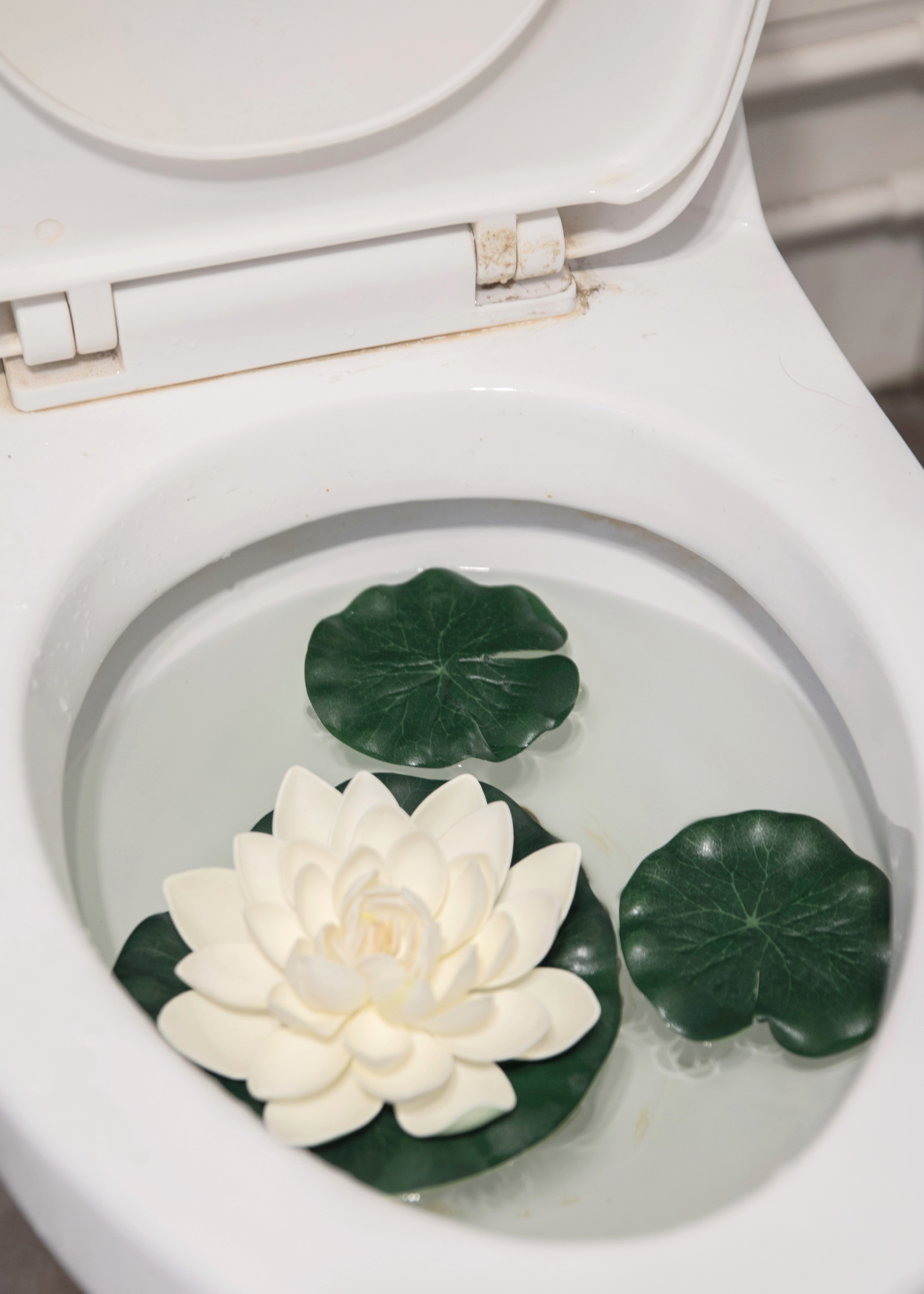 Lotus Pond  - 2019 - Xinrui Qiu