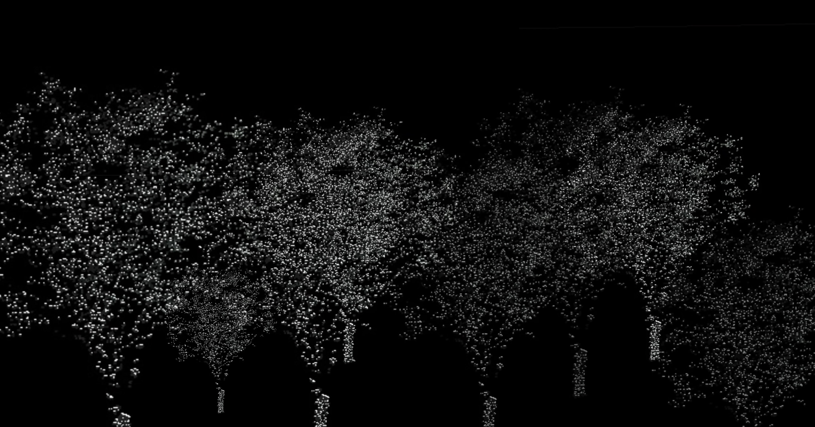 The Woods are Stilling Breathing - 2023 - Youyi Dai